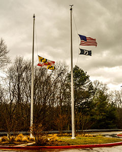 United States Flag and Maryland Flag are at Half-Staff