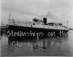 [steamship]